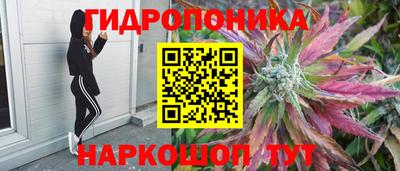 марки lsd Гатчина