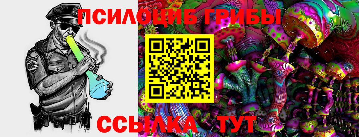 Псилоцибиновые грибы прущие грибы Иваново
